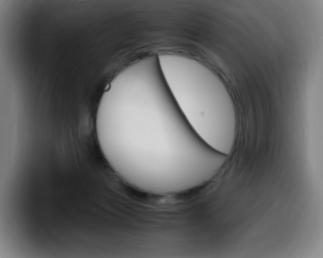 X0000099510173200805151018