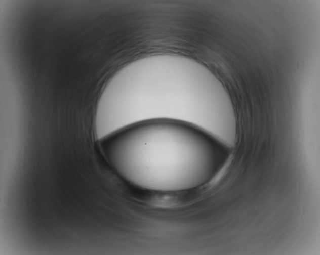X0000099510174200805151019