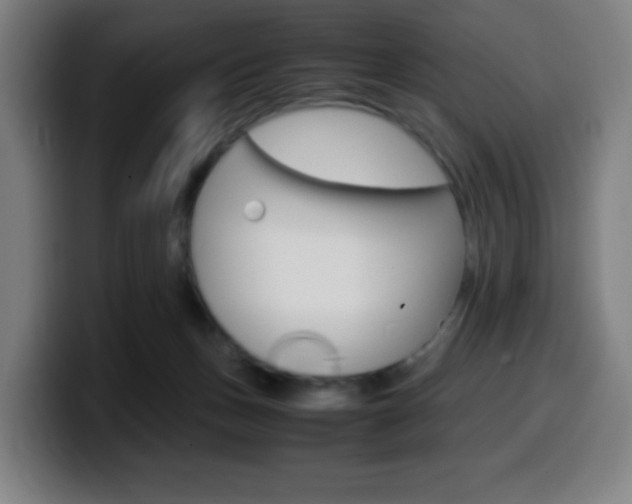 X0000099510175200805151019