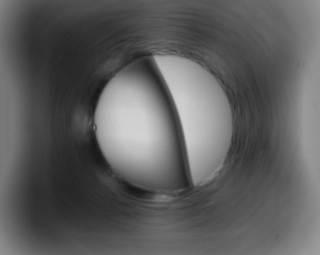 X0000099510176200805151019
