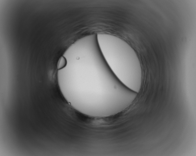 X0000099510177200805151019