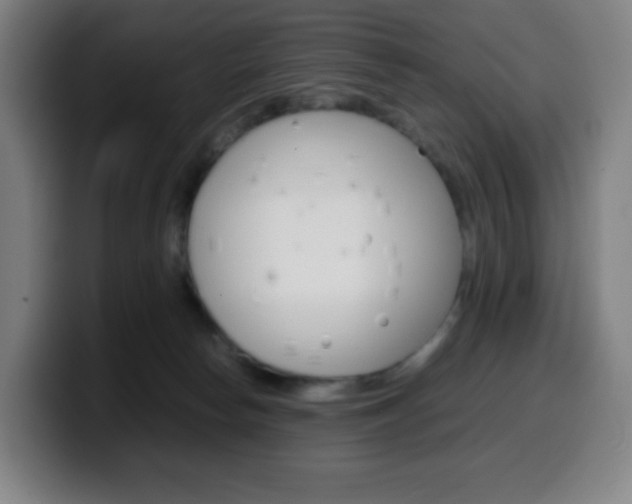 X0000099510178200805151019