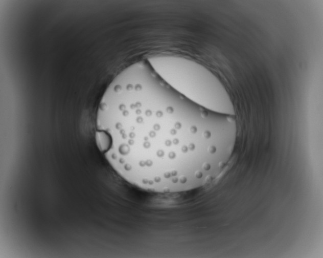 X0000099510179200805151019