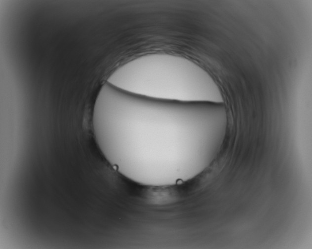 X0000099510181200805151019