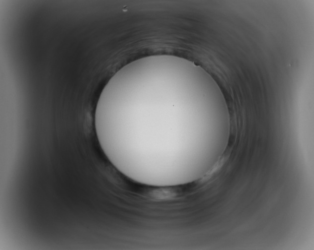 X0000099510183200805151019