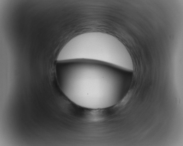 X0000099510184200805151019