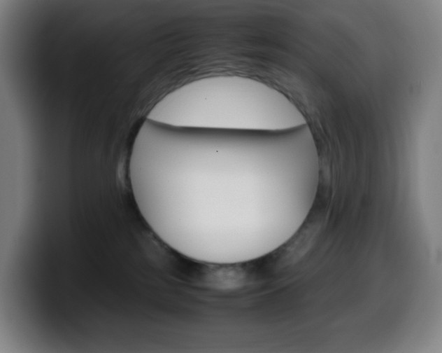 X0000099510185200805151019
