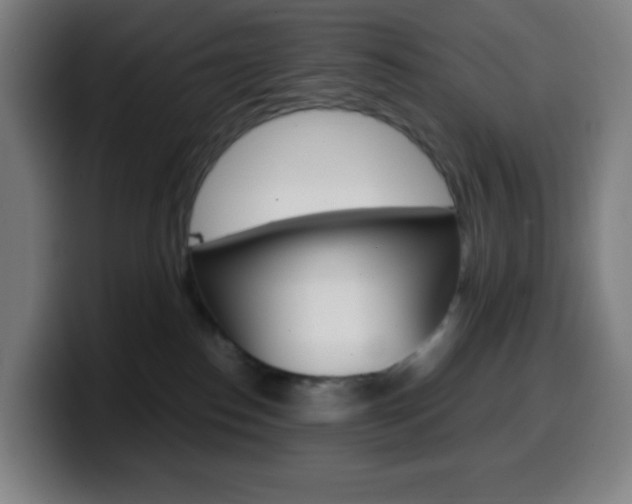 X0000099510186200805151019