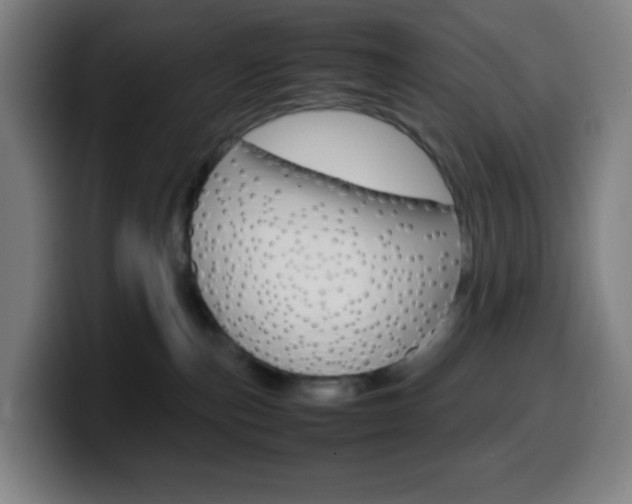 X0000099510187200805151019