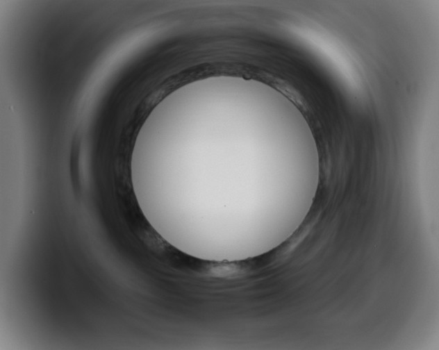 X0000099510189200805151019