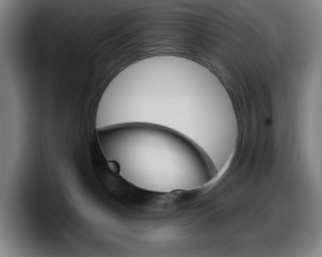 X0000099510190200805151019