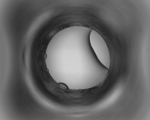 X0000099510191200805151019