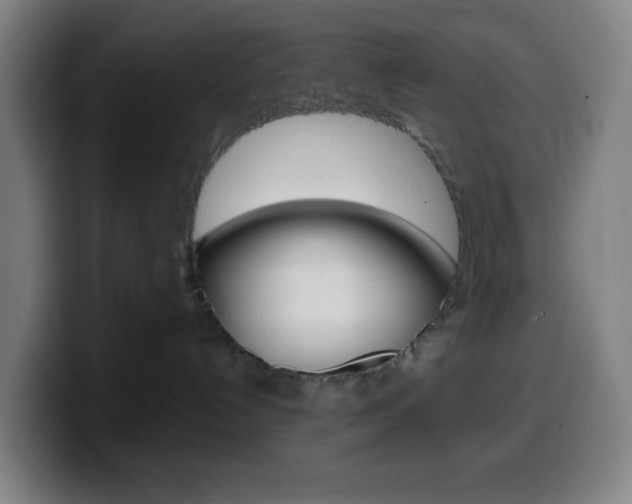 X0000099510192200805151019