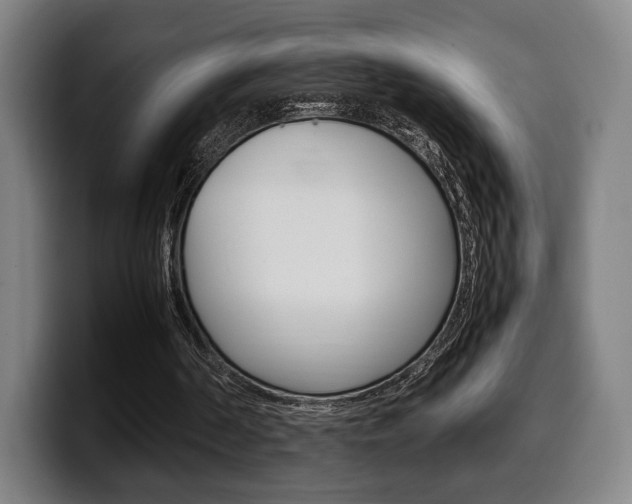X0000099510194200805151018