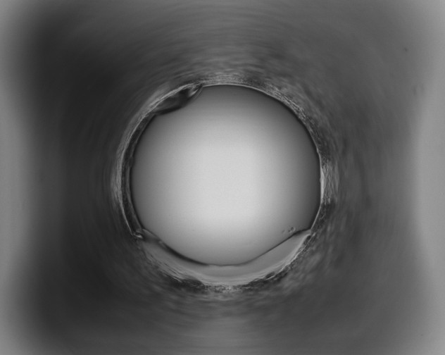 X0000099510195200805151018