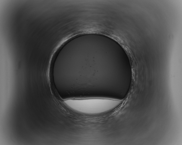 X0000099510196200805151018