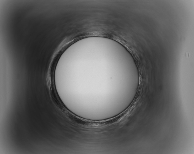 X0000099510198200805151018