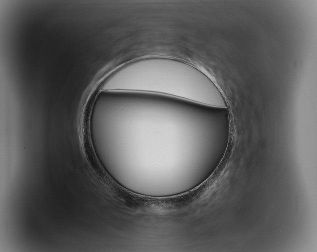 X0000099510199200805151018