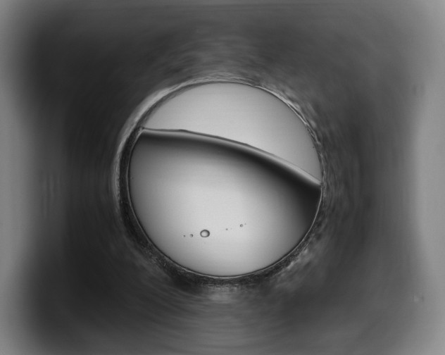 X0000099510200200805151018