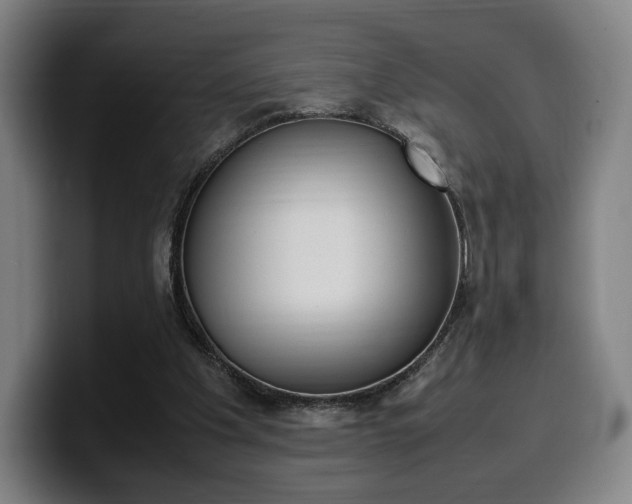 X0000099510201200805151018