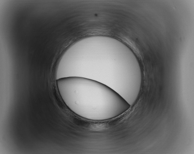X0000099510202200805151018