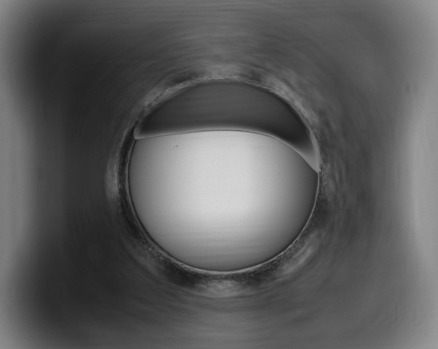X0000099510203200805151018