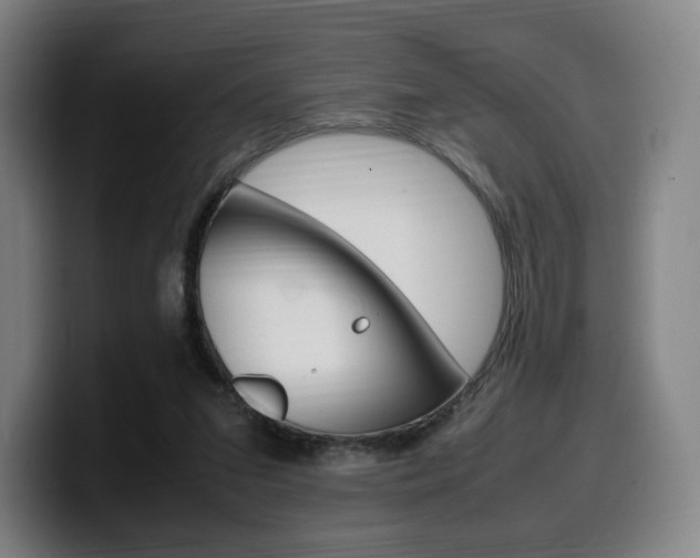 X0000099510207200805151018