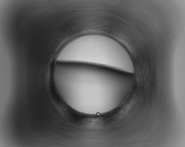 X0000099510208200805151018