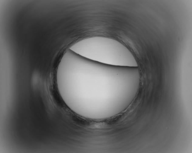 X0000099510210200805151018