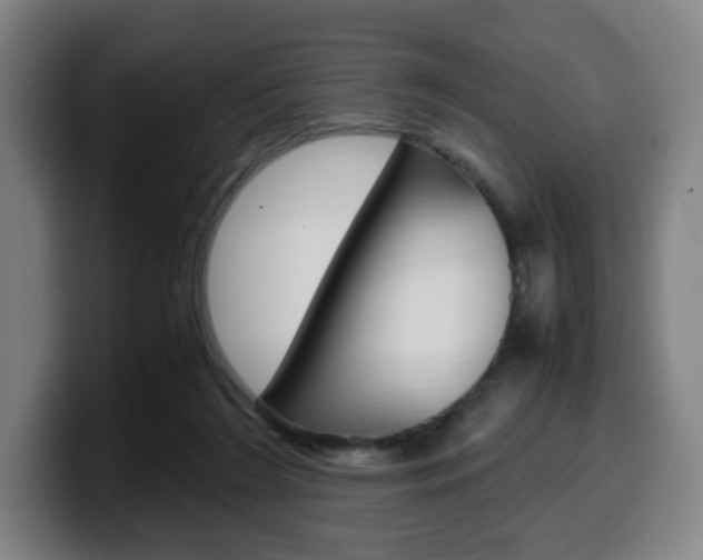 X0000099510212200805151018