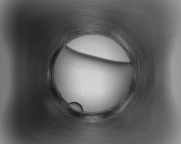 X0000099510213200805151018