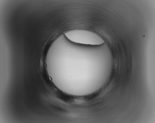 X0000099510214200805151018