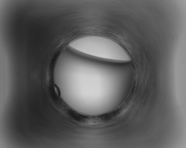 X0000099510215200805151018