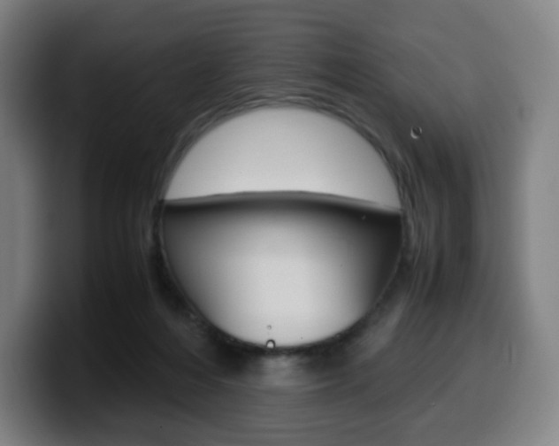 X0000099510216200805151018