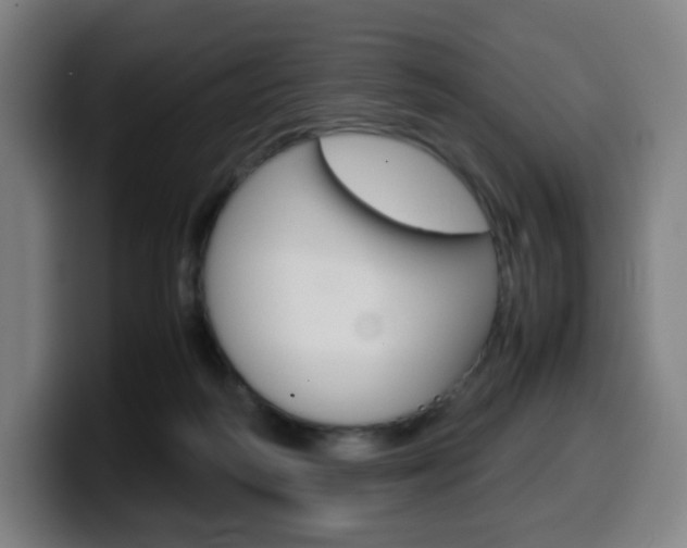 X0000099510218200805151018