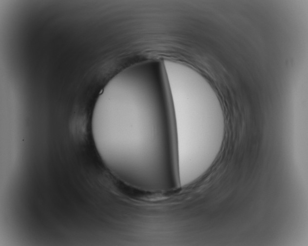 X0000099510219200805151018