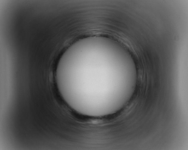 X0000099510220200805151018
