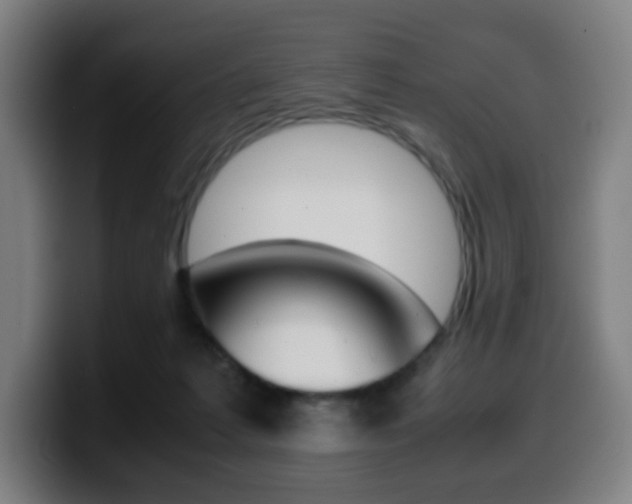 X0000099510221200805151018