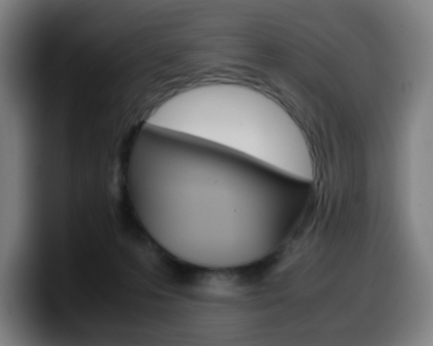 X0000099510223200805151018