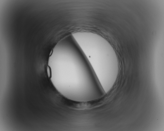 X0000099510225200805151018