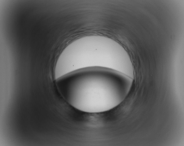 X0000099510229200805151018
