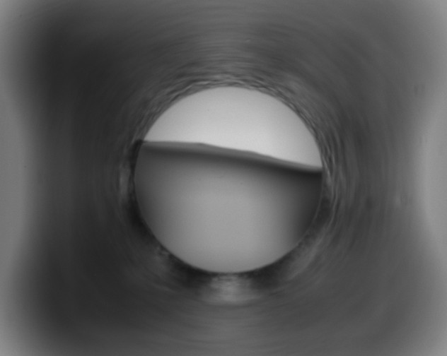 X0000099510231200805151018