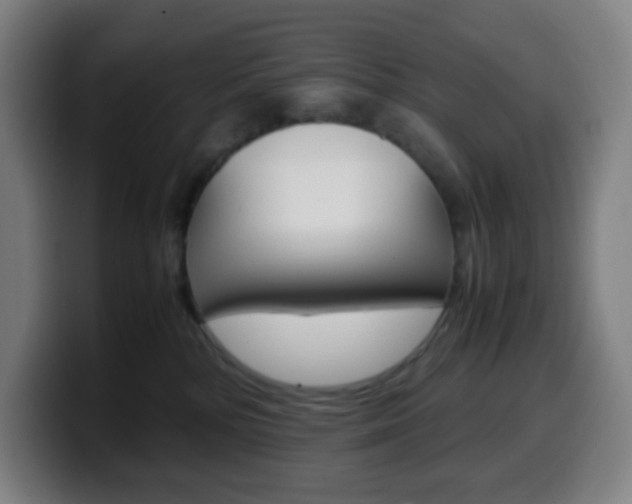X0000099510232200805151018