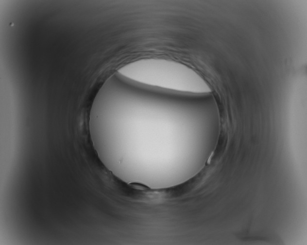 X0000099510233200805151018