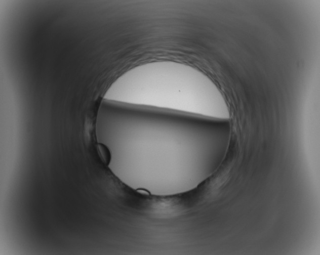 X0000099510235200805151017