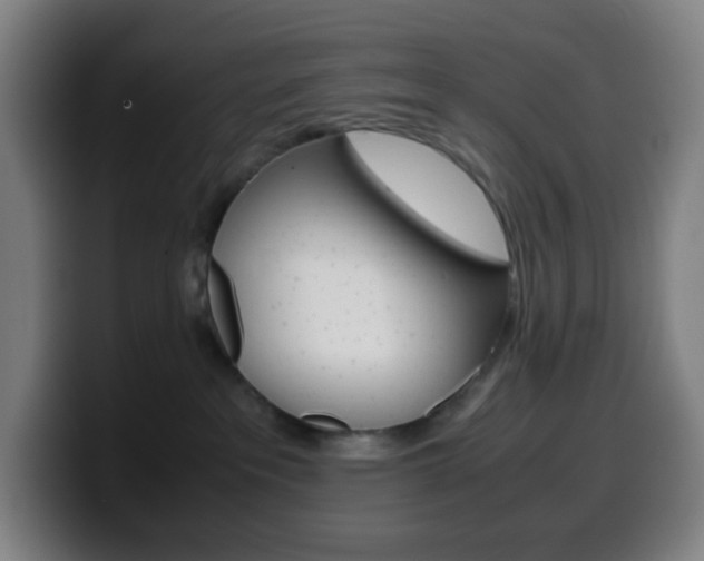 X0000099510237200805151017