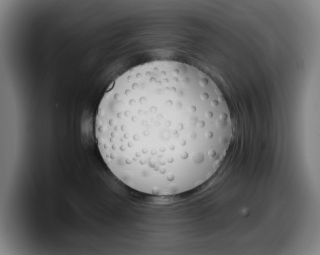 X0000099510238200805151017