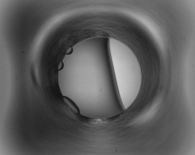 X0000099510239200805151017