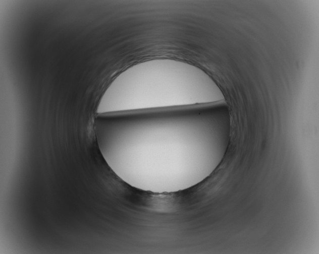 X0000099510240200805151017