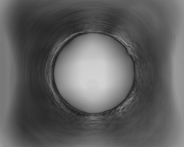 X0000099510241200805151017